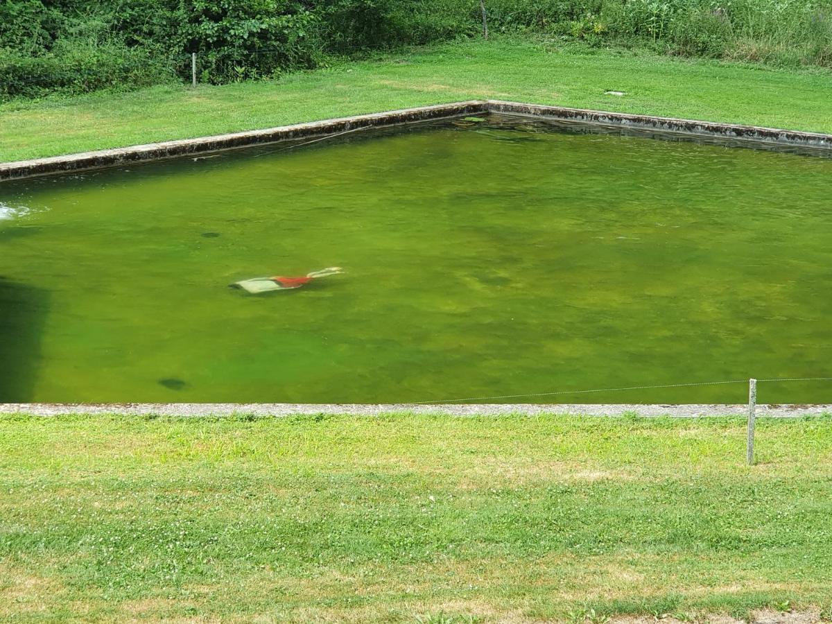 Le Saint Moulin De La Petite Pierre Villa Lohr ภายนอก รูปภาพ