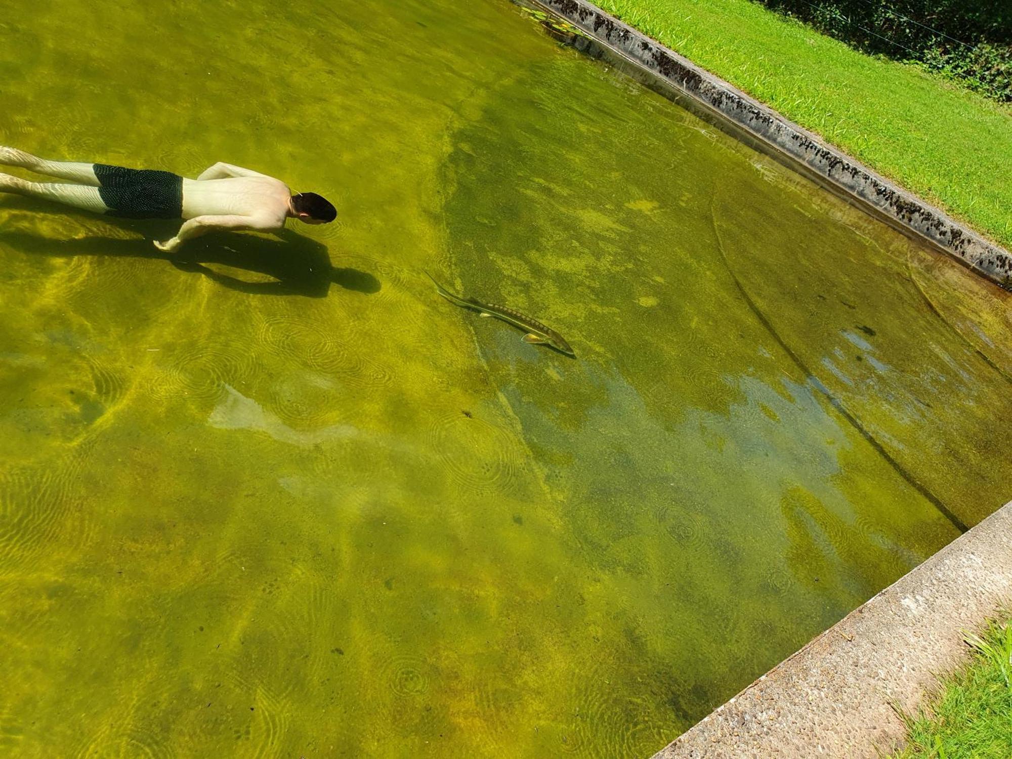 Le Saint Moulin De La Petite Pierre Villa Lohr ภายนอก รูปภาพ